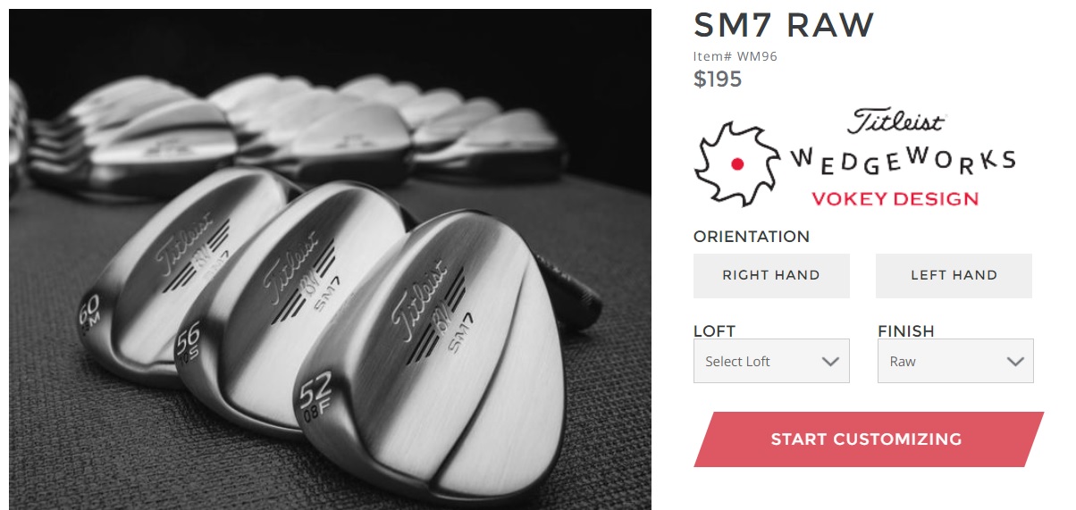 ボーケイ SM９　RAW ノーメッキ ダイナミックゴールドX100 ボーケイ SM9 RAW ノーメッキ ダイナミックゴールドX100 タイトリスト